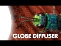 Globe Diffuser for Macro Photography – 8 Things You Must Know!
