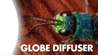 Globe Diffuser for Macro Photography – 8 Things You Must Know!