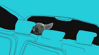 Thelma Plum - Backseat Of My Mind (Visualiser)