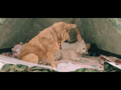 ที่รัก - ปลานิลเต็มบ้าน -  Feat. LAZYLOXY - Cover By เฟรมและมายด์