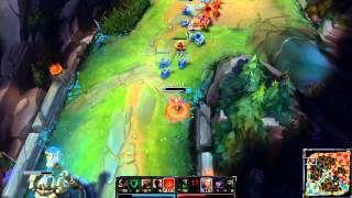Gnar Bait