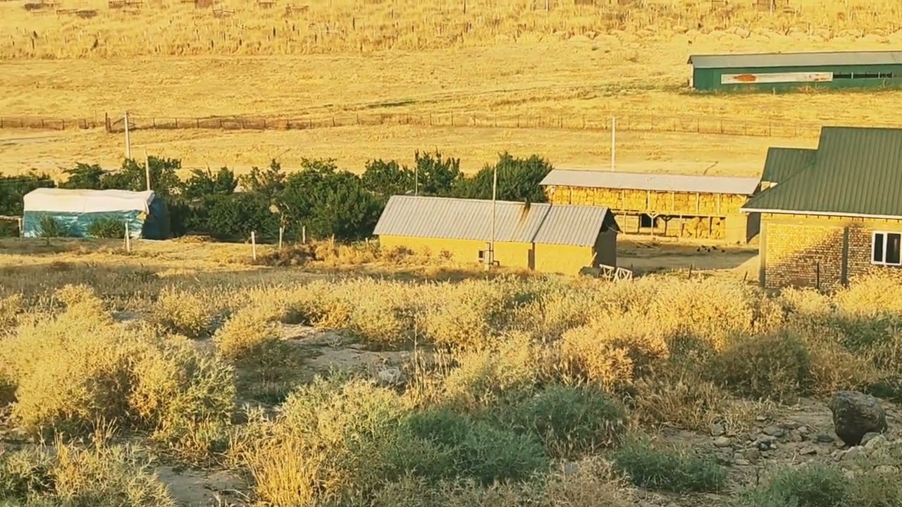 Баш булак айылынан 6 сотих жер участок сатылат.