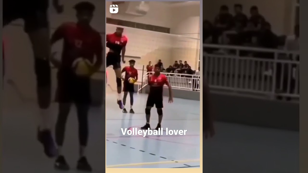 volleyball ball fun video and songs lyrics YouTube