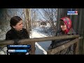 Семья, переехавшая из Новосибирска в деревню, развивает собственное хозяйство