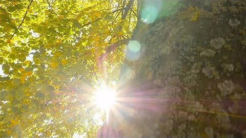 Sun Rays Stock Video