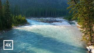 4K Another World | Deep in the Rockies | Hidden River in British Columbia's Backcountry