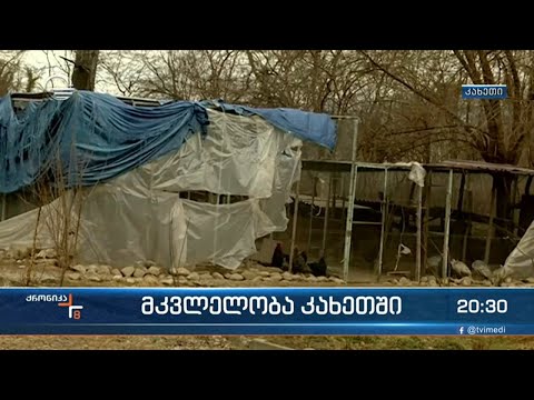 სასტიკი დანაშაული კახეთში - მოკლულია ცოლ-ქმარი