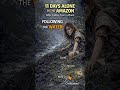 11 Days Alone in the Amazon After Falling From a Plane #scienceexplained #infobeyondborders
