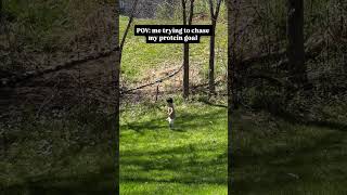 Hitting Your Protein Goal On A Glp - 1 Can Feel Like This Some Days Lower Appetite + Changing Hunger