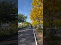 Arrow-10: strolling in the greenway! Fall is the best season! #arrow #electricbike #cycling