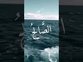من كان يريد العزة القارئ للشيخ عبد الباسط عبد الصمد رحمه الله