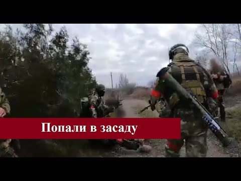 Бои в Запорожской области, ВС РФ попали в засаду украинских военных