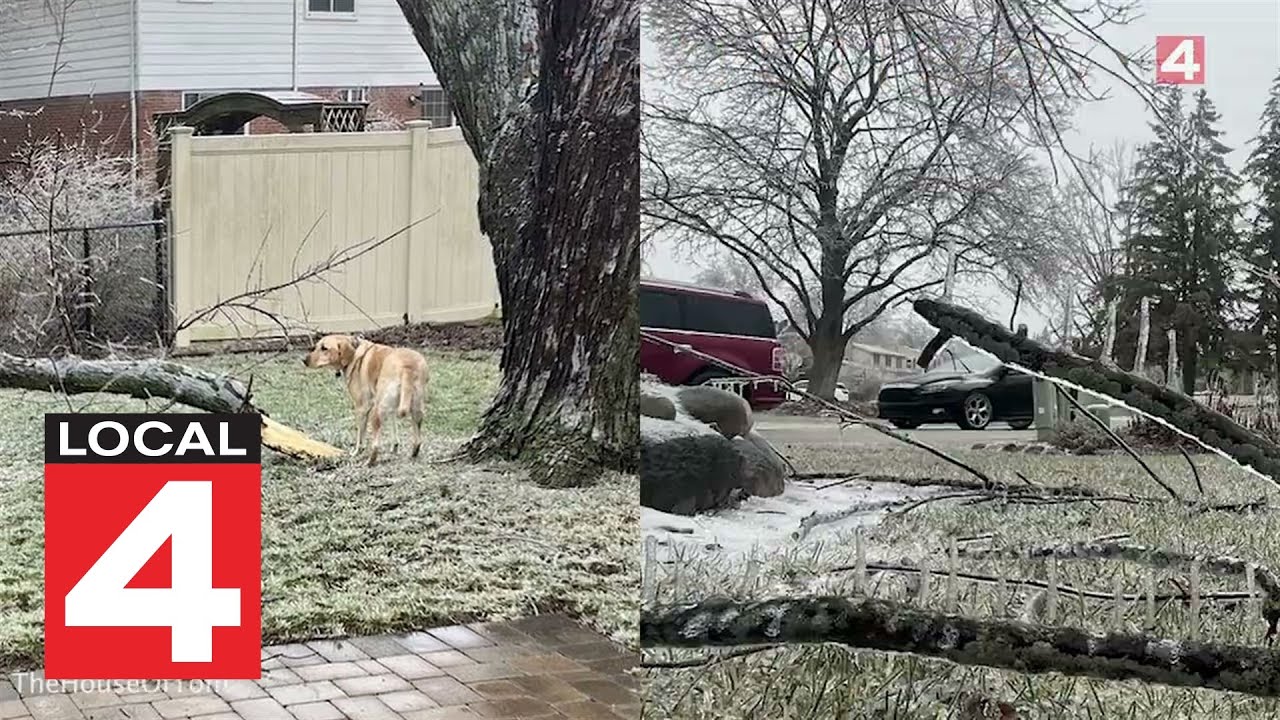 An ice storm turned Metro Detroit into a winter wonderland - YouTube
