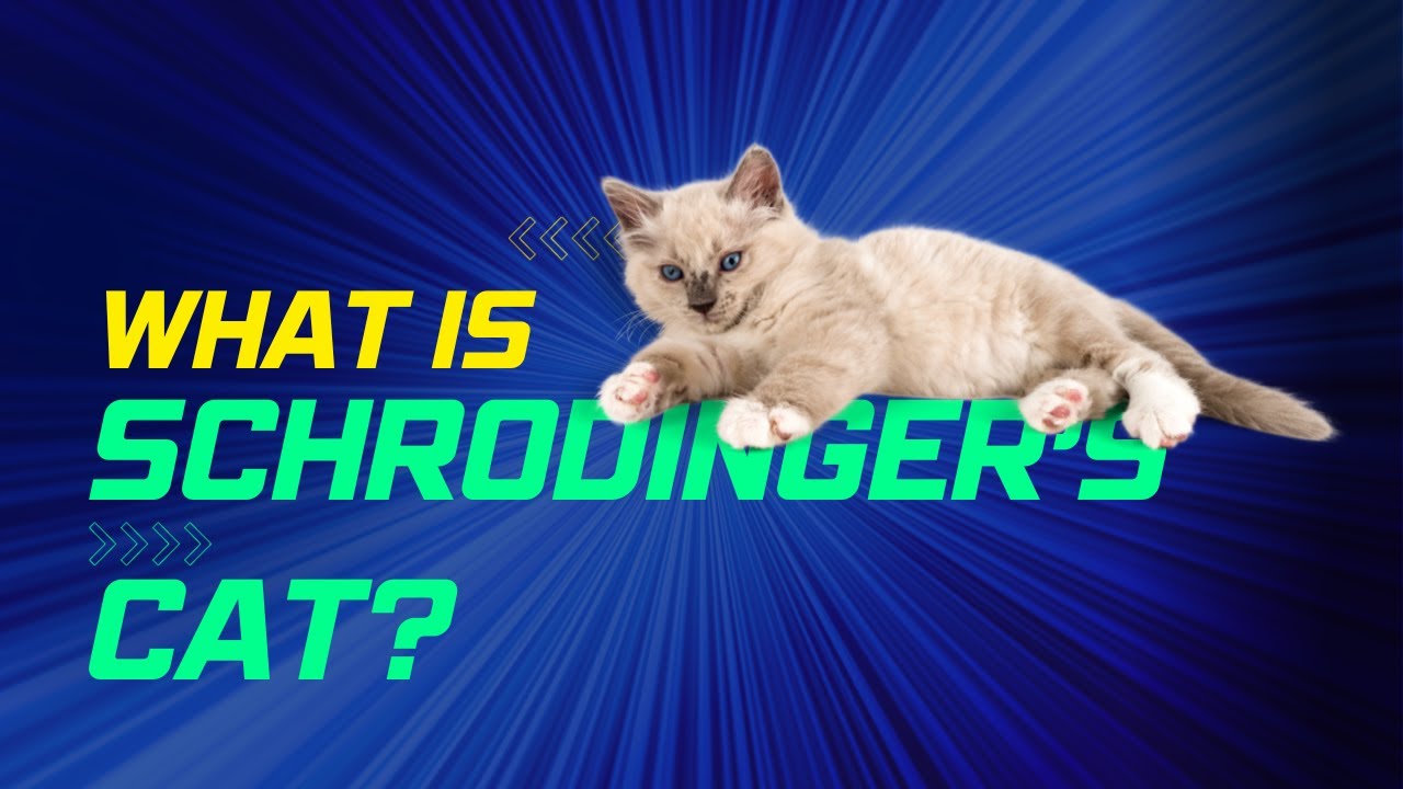 What is Schrodinger's Cat? - YouTube