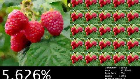 Watch this genetic algorithm evolved in timelapse!