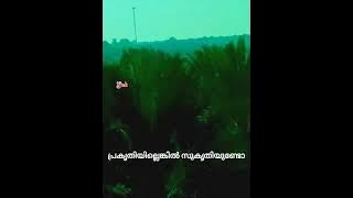 manassil ninnum manassilekkoru(മനസ്സിൽ നിന്നും മനസ്സിലേക്കൊരു)