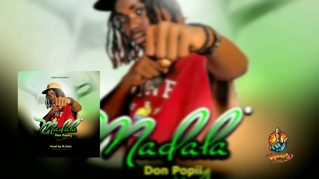 Madala Don Popii official visualizer [Bigbullie 4life]