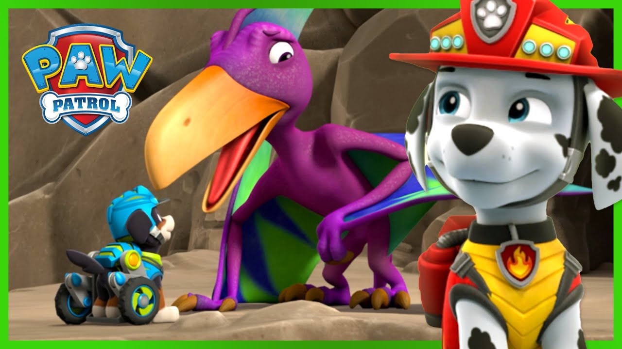 PAW Patrol Rex and Rocky Rescue a Dinosaur | PAW Patrol | Cartoons for ...