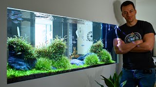 400L IN-WALL ROOM DIVIDER AQUARIUM!!! by MJ Aquascaping 43,353 views 2 months ago 15 minutes