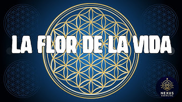 Thumbnail of La Flor de la Vida (Geometría Sagrada)