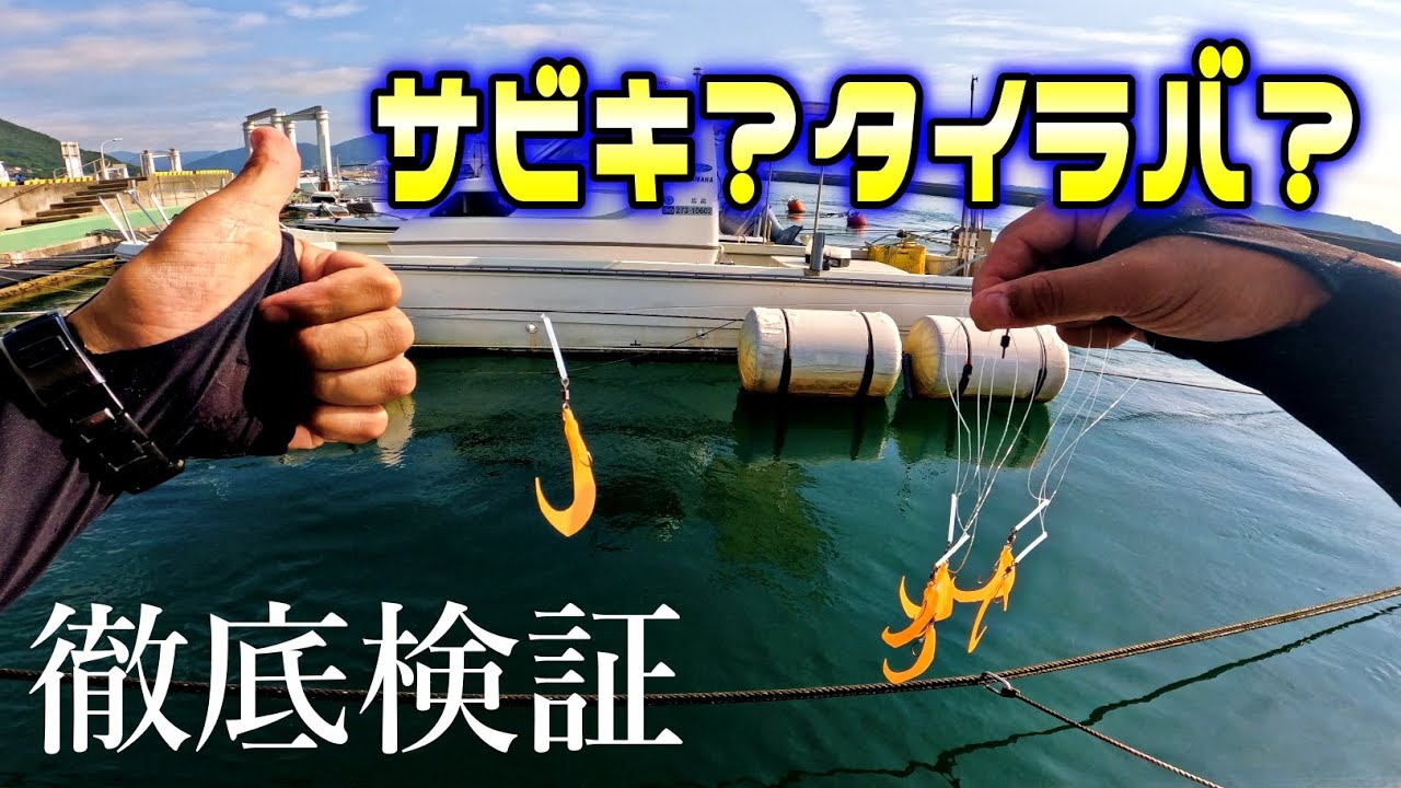 どうなる？サビキのように複数のタイラバを同時に使用してみた。