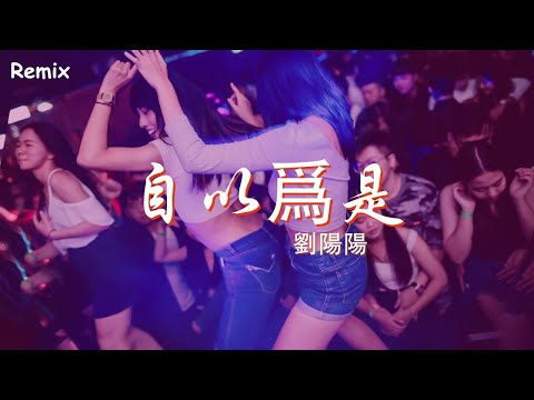 劉陽陽 - 自以爲是 - [慢搖DJ舞曲] - 2023年最勁爆的DJ歌曲  - [Chinese Dj Remix 2023]