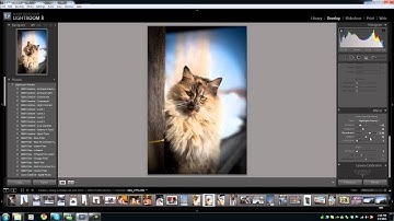 Using Lightroom to create a vignette