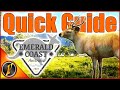 Emerald Coast Guide: Best Loadout & Top Hunt Spots 🎯