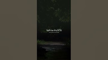 اكتب شي تؤجر عليه 🌱🤍 | القارئ اسلام صبحي | قرآن كريم