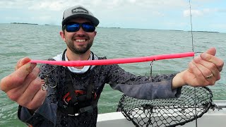 WILD Fishing JURASSIC Island In The Florida Keys!! by Todays Angler 2,836 views 8 days ago 27 minutes