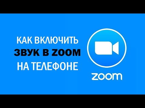 Zoom нет звука. Как в Zoom включить звук на телефоне. Самая короткая инструкция.