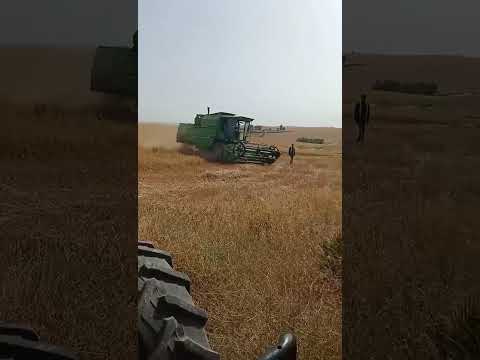 موسم الحصاد 2025