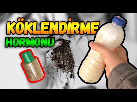 ⚠️DOĞAL SÜPER GÜÇLENDİRİCİ l Katı ve Sıvı Köklendirme Hormonu