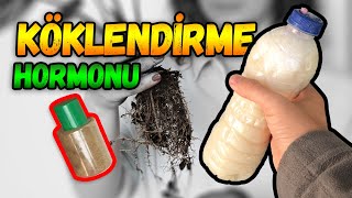 Doğal Süper Güçlendi̇ri̇ci̇ L Katı Ve Sıvı Köklendirme Hormonu