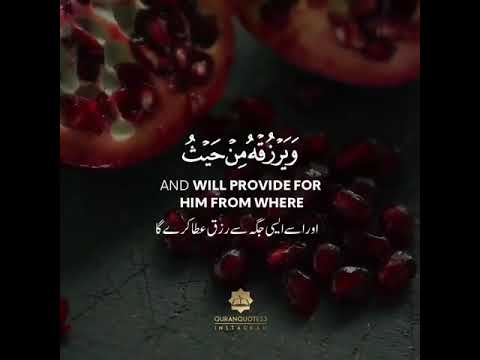 Holy Quran
