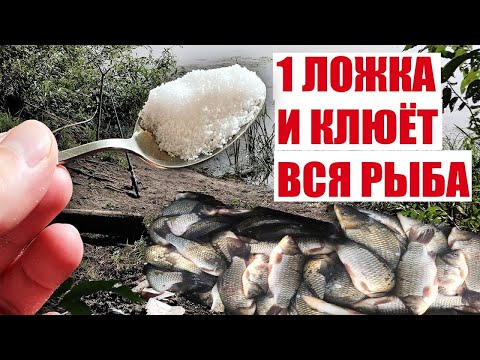 ВЕСНОЙ ВСЯ РЫБА КЛЮЁТ НА ЭТО! 1 ЛОЖКА ЭТОГО И ВСЯ РЫБА КЛЮЁТ НА ЛЮБОМ ВОДОЁМЕ РАБОТАЕТ