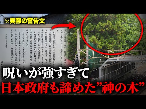 A scary story about the "cursed tree" behind the shrine [Ghost story]