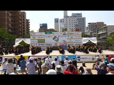 おかやましんきん連　うらじゃ２０１８　下石井演舞場4日　４ｋ