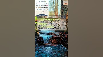 سورة المسد ـ سعود الشريم .ما اجمل كلام الله القرآن الكريم .القران الكريم. القرآن الكريم