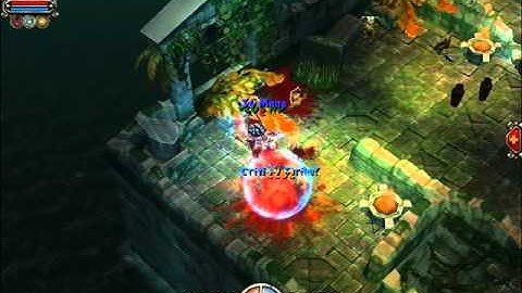 Torchlight - Shaman Class