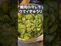 こんなにウマいきゅうりを知ってるかい？！？！#料理 #料理動画 #今日の晩ごはん #簡単レシピ #おつまみ