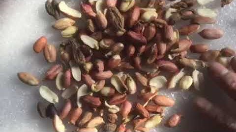 TAIHO sorter working for groundnuts....