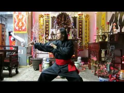 Martial Arts Fighting Form - Seven Mountains Spirit Fist Kung Fu / Thanvodao