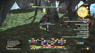 Guide to unlocking the expert roulette FFXIV HEAVENSWARD 3.05