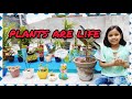 "Plants are our Life"