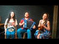 "Шел казак на побывку домой", (песня под гармонь). Трио "ЯБЛОЧКО". Russian songs.