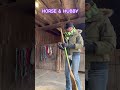 Horse Hubby &amp; Fun #husbandwife #horse #fun #horses