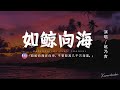趙乃吉 - 如鯨向海「我如鯨向海奔向你,不管距離有幾千幾萬海裡。」【動態歌詞/Pinyin Lyrics】