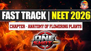 Anatomy of Flowering Plants One Shot | NEET 2026 | Full NCERT, Dicot vs Monocots 🌿🔬