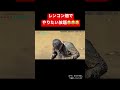 本編はコメント欄から！